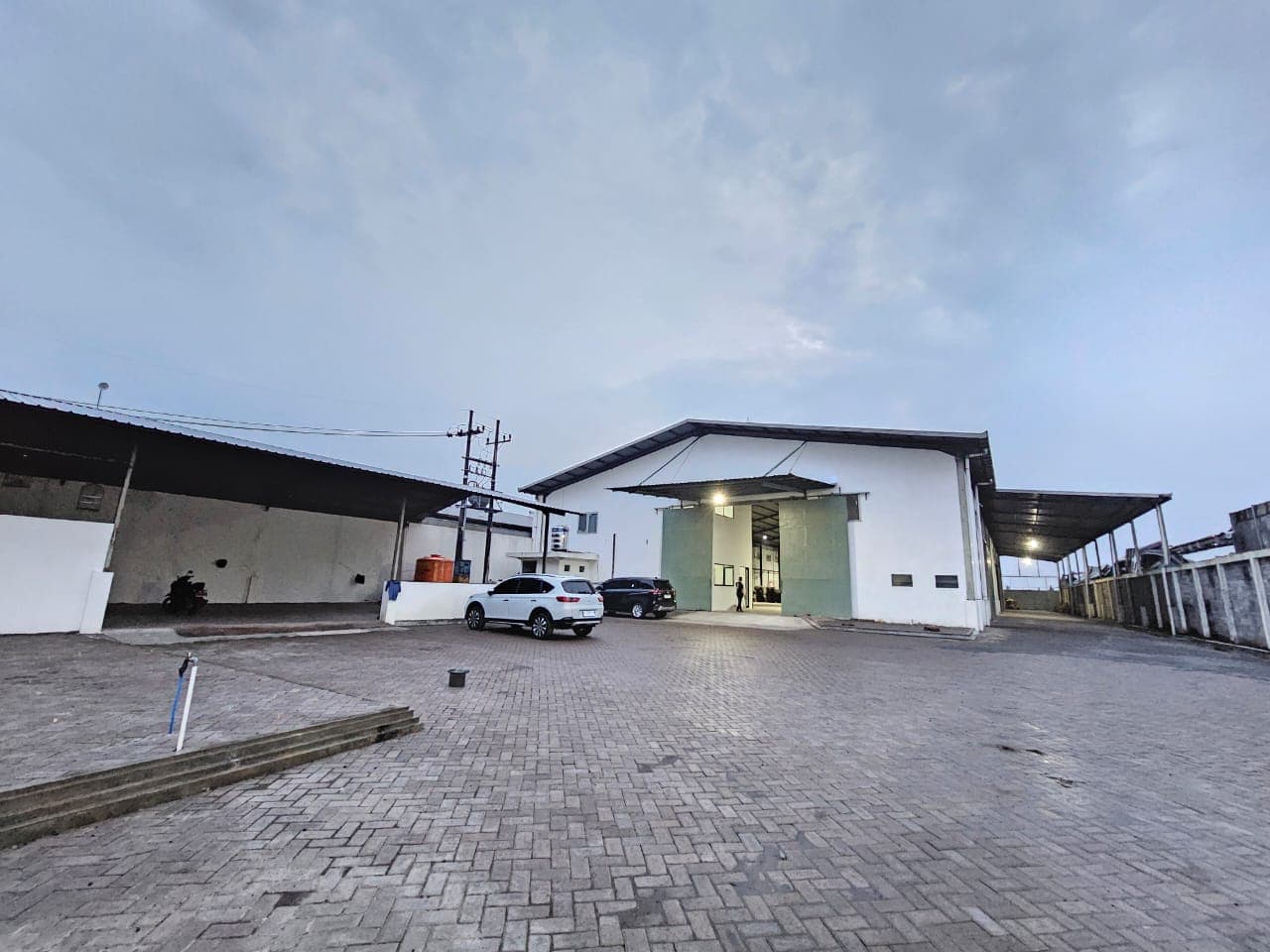 Gallery 29